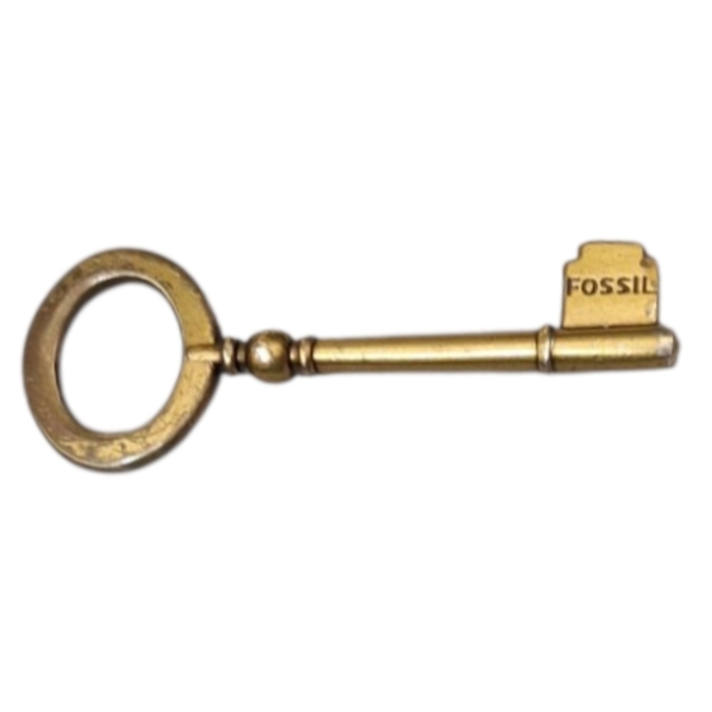 FOSSIL BRASS SKELETON KEY HANG TAG BAG CHARM